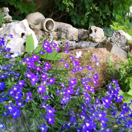 Villa Murgia Solanas  Esterno foto